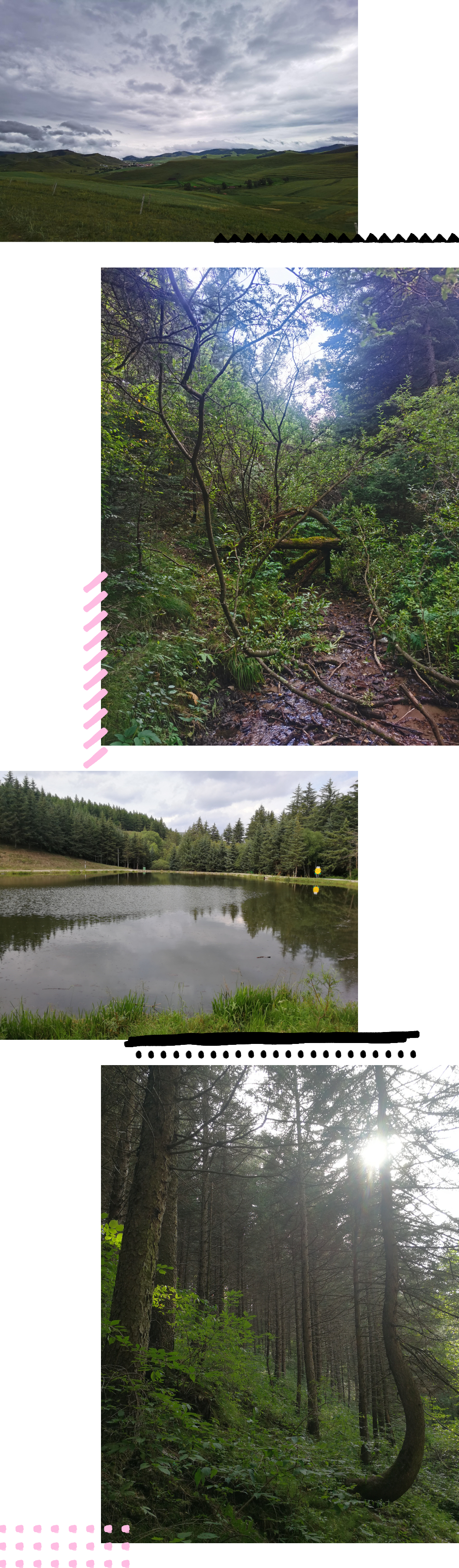 1660546228509926.jpg 景.jpg