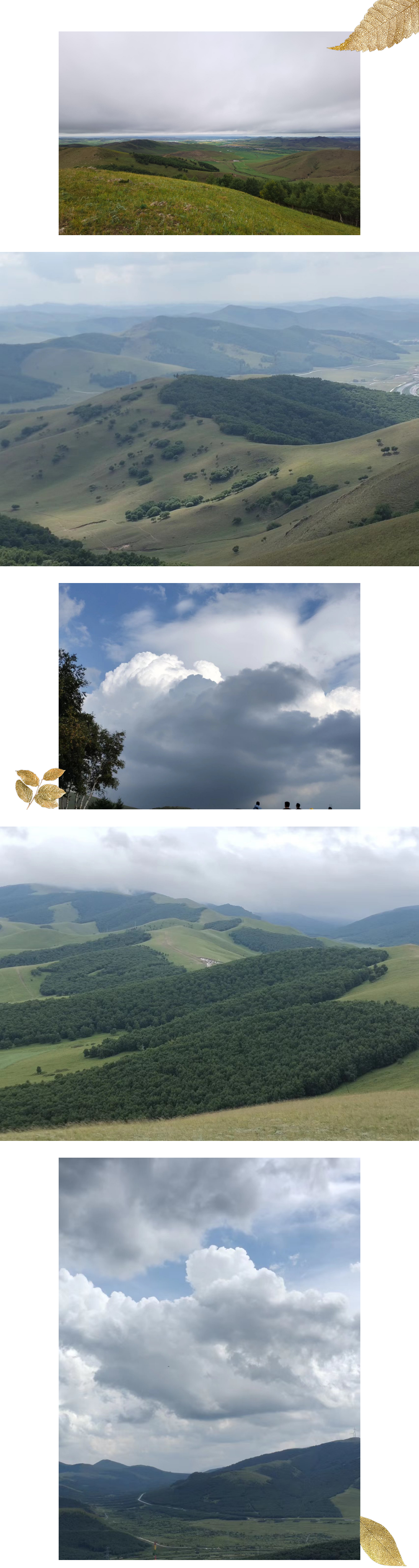 1660546807765105.jpg 美景.jpg